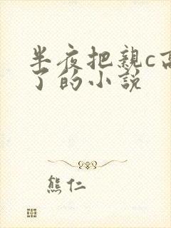 半夜把亲c高潮了的小说