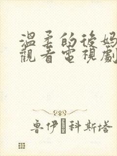 温柔的后妈在线观看电视剧免费高清封面