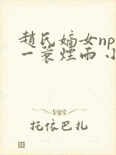 赵氏嫡女np 一蓑烟雨 小说封面