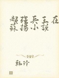 超强兵王在都市苏扬小说