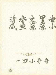 清水文里也by咸鱼崽崽小说笔趣阁封面