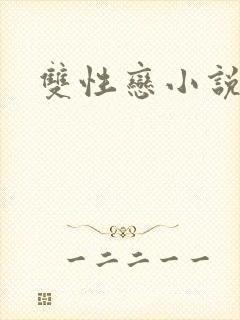 双性恋小说h封面