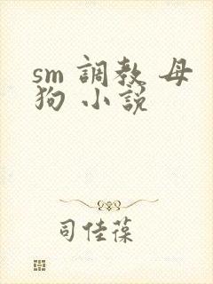 sm 调教 母狗 小说