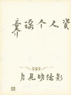 童瑶个人资料简介封面