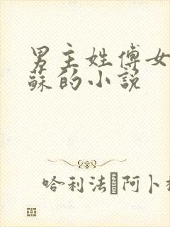 男主姓傅女主姓苏的小说