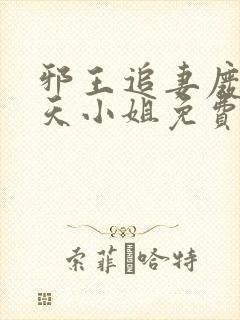 邪王追妻废材逆天小姐免费阅读全文封面