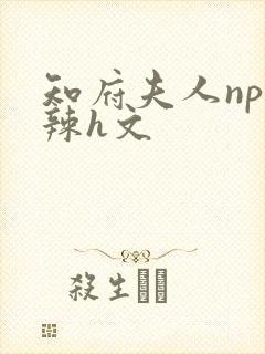 知府夫人np高辣h文