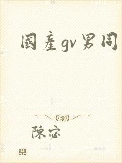 国产gv男同封面