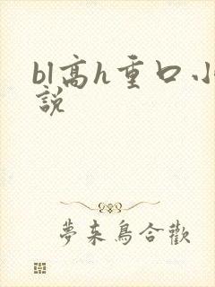 bl高h重口小说