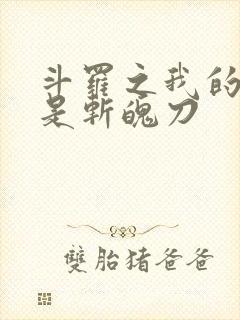 斗罗之我的武魂是斩魄刀封面