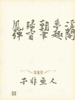 凤归朝梦溪石无弹窗笔趣阁