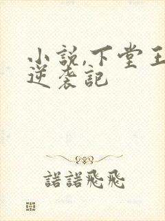 小说,下堂王妃逆袭记