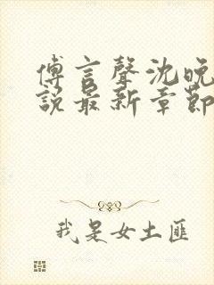 傅言声沈晚柔小说最新章节免费阅读