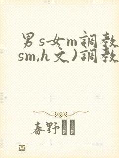 男s女m调教(sm,h文)调教小乳