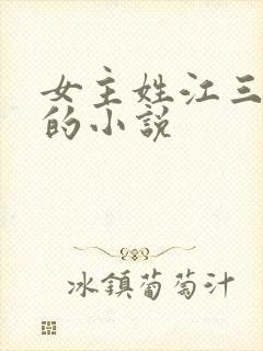 女主姓江三个字的小说