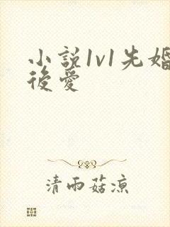 小说1v1先婚后爱封面