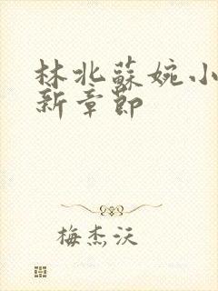林北苏婉小说最新章节封面