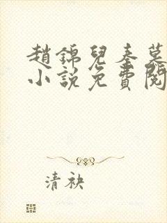 赵锦儿秦慕修的小说免费阅读全文