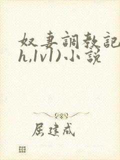 奴妻调教记(高h,1v1)小说