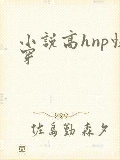 小说高hnp快穿