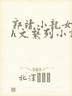 郭靖小龙女高辣h文系列小说阅读封面