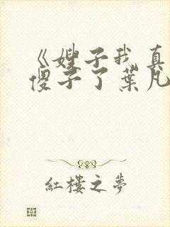 《嫂子我真不是傻子了叶凡》