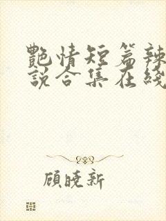 艳情短篇辣文小说合集在线阅读