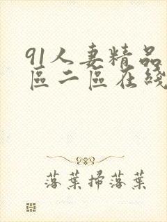 91人妻精品一区二区在线