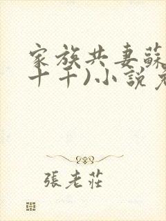 家族共妻苏苏(十千)小说免费