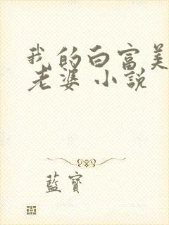 我的白富美总裁老婆 小说