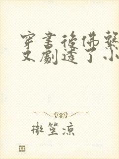 穿书后佛系贵妃又剧透了小说封面