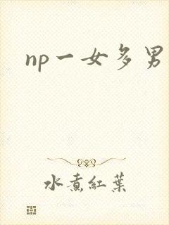 np一女多男文封面