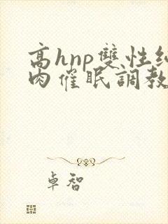 高hnp双性纯肉催眠调教
