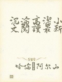 沉沦高洁小说全文阅读最新章节更新