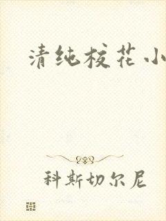 清纯校花小说h