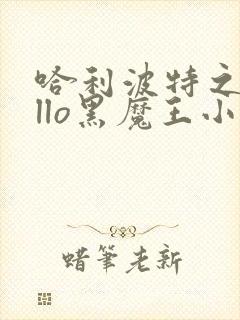 哈利波特之hello黑魔王小说最新章节