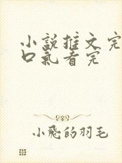 小说推文完结一口气看完