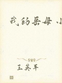 我的岳母 小说