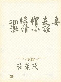 sm绿帽夫妻奴激情小说封面