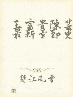 王富贵陈芸小说最新章节更新时间封面