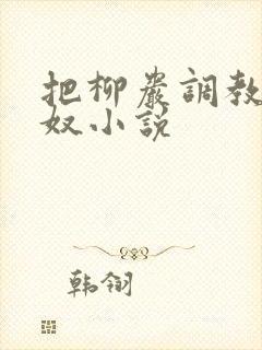 把柳岩调教成肉奴小说