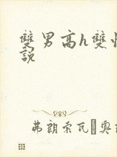 双男高h双性小说