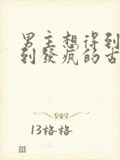 男主想得到女主到发疯的古言