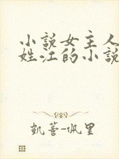 小说女主人公叫姓江的小说封面