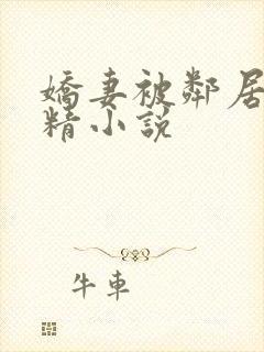 娇妻被邻居灌满精小说封面