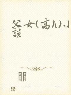 父女(高h)小说封面
