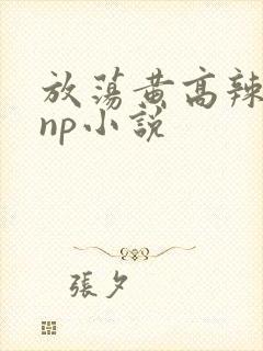 放荡黄高辣h文np小说