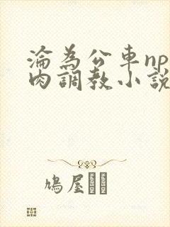 沦为公车np纯肉调教小说