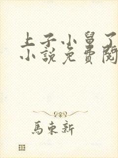 上子小舅了老婆小说免费阅读