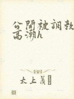 公开被调教当众高潮h封面